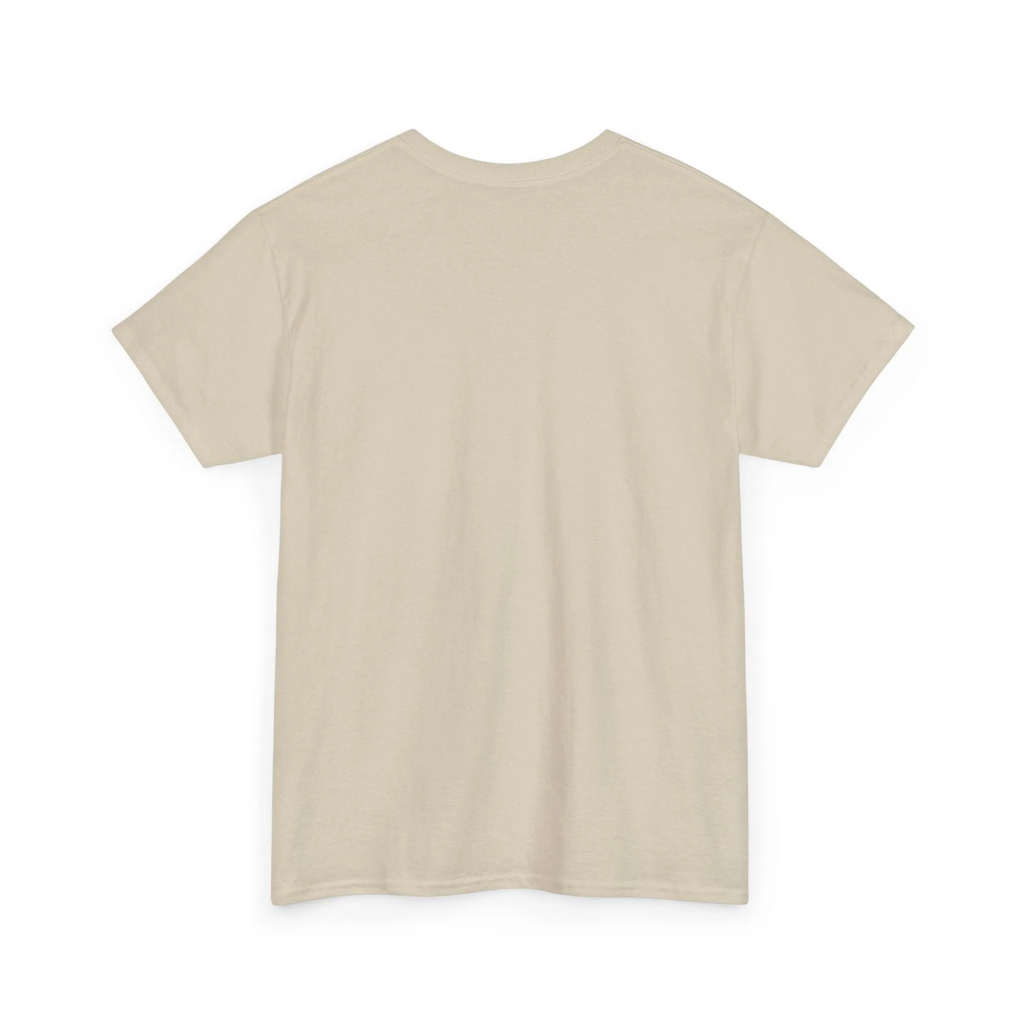 Don't Be A Jerk Unisex Heavy Cotton Tee