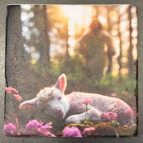 Tumbled Stone Coasters
